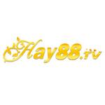 Hay88