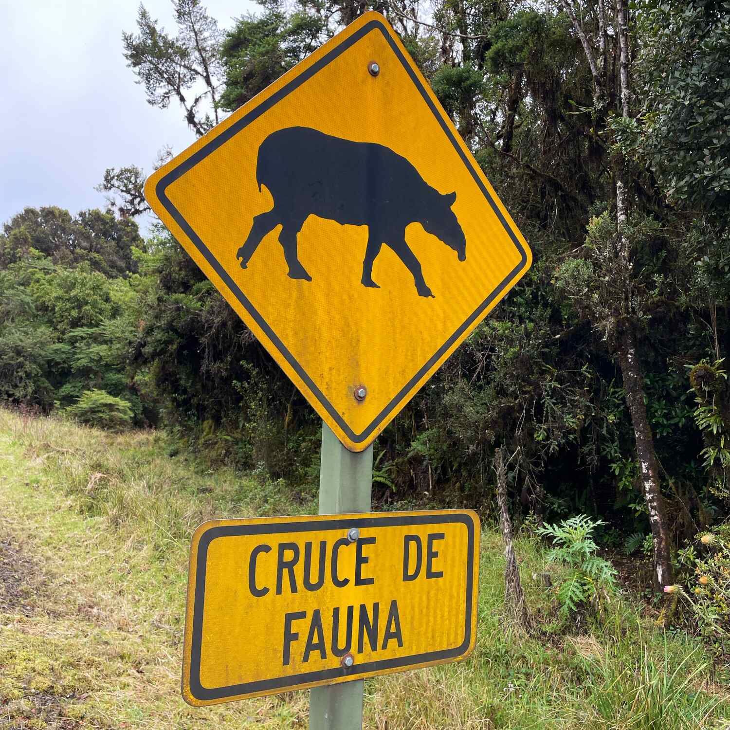 Costa Rica und Panama