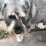 Peter und Birgit Benz