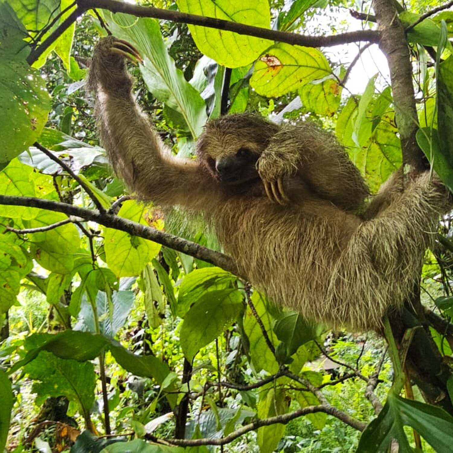 Costa Rica