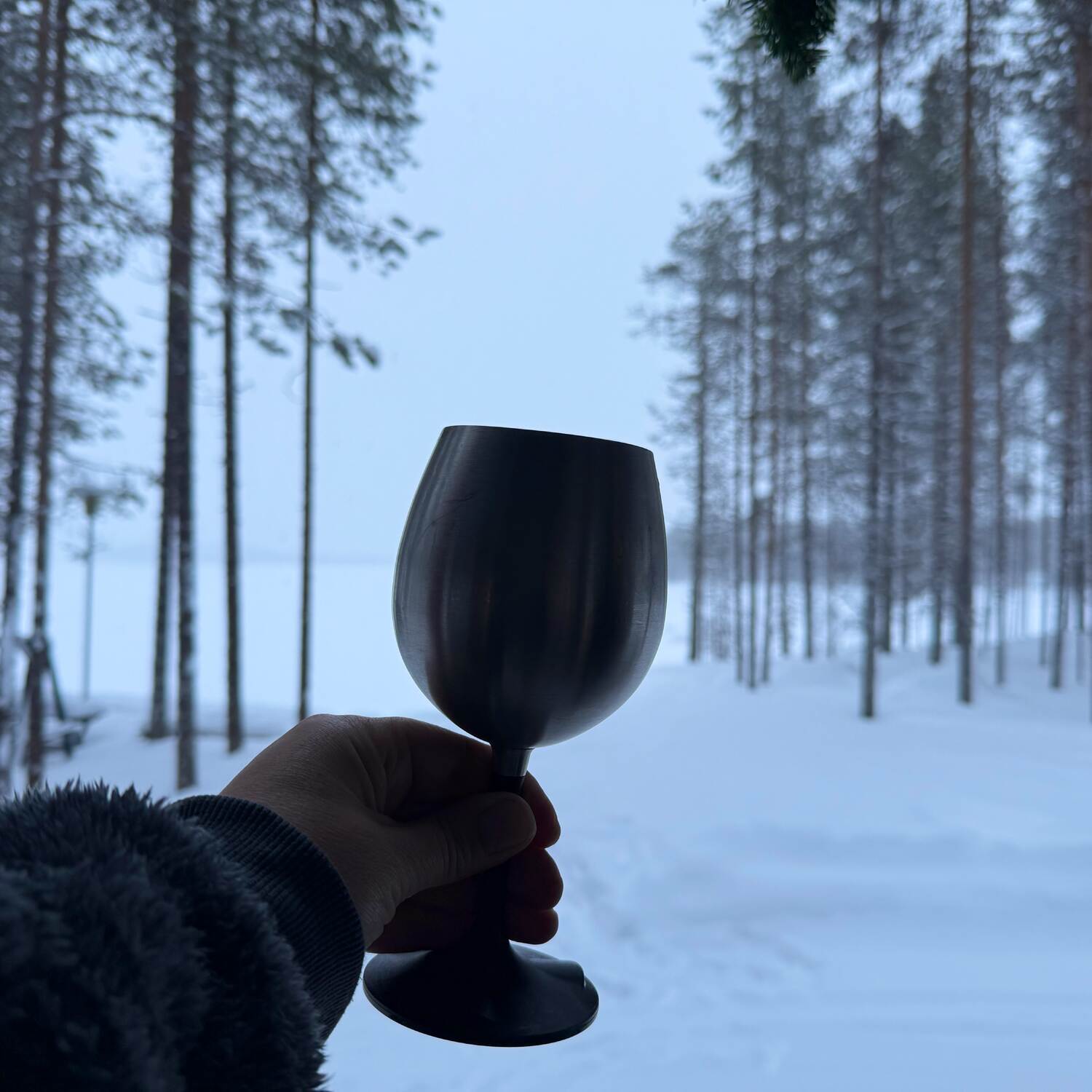 Winterwunder Finnland