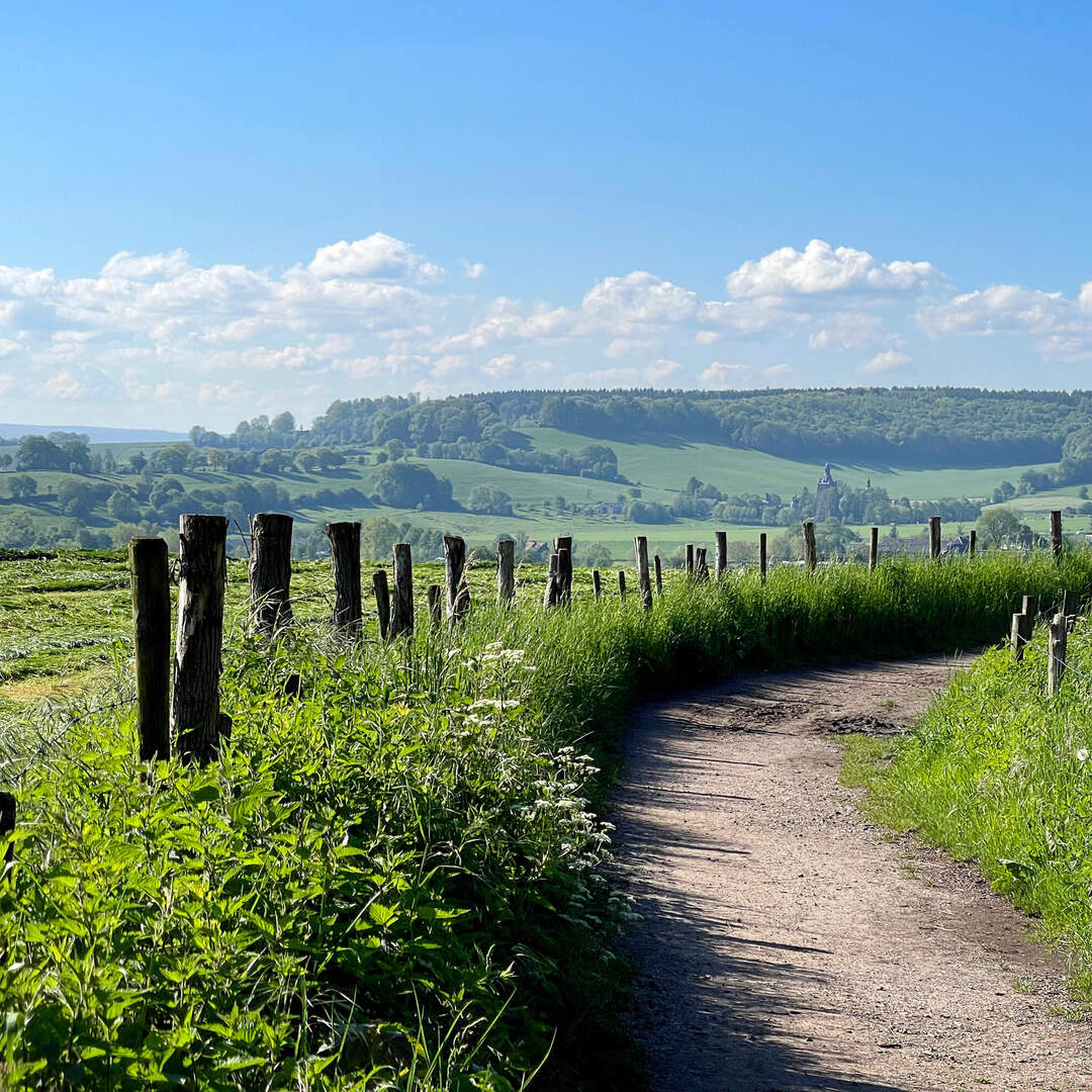 Dutch Mountain Trail