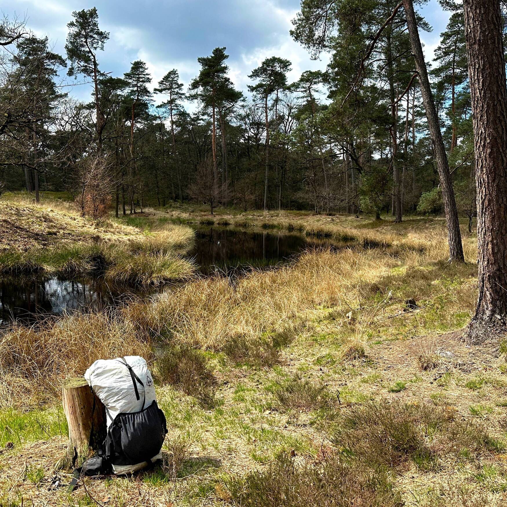 Veluwe