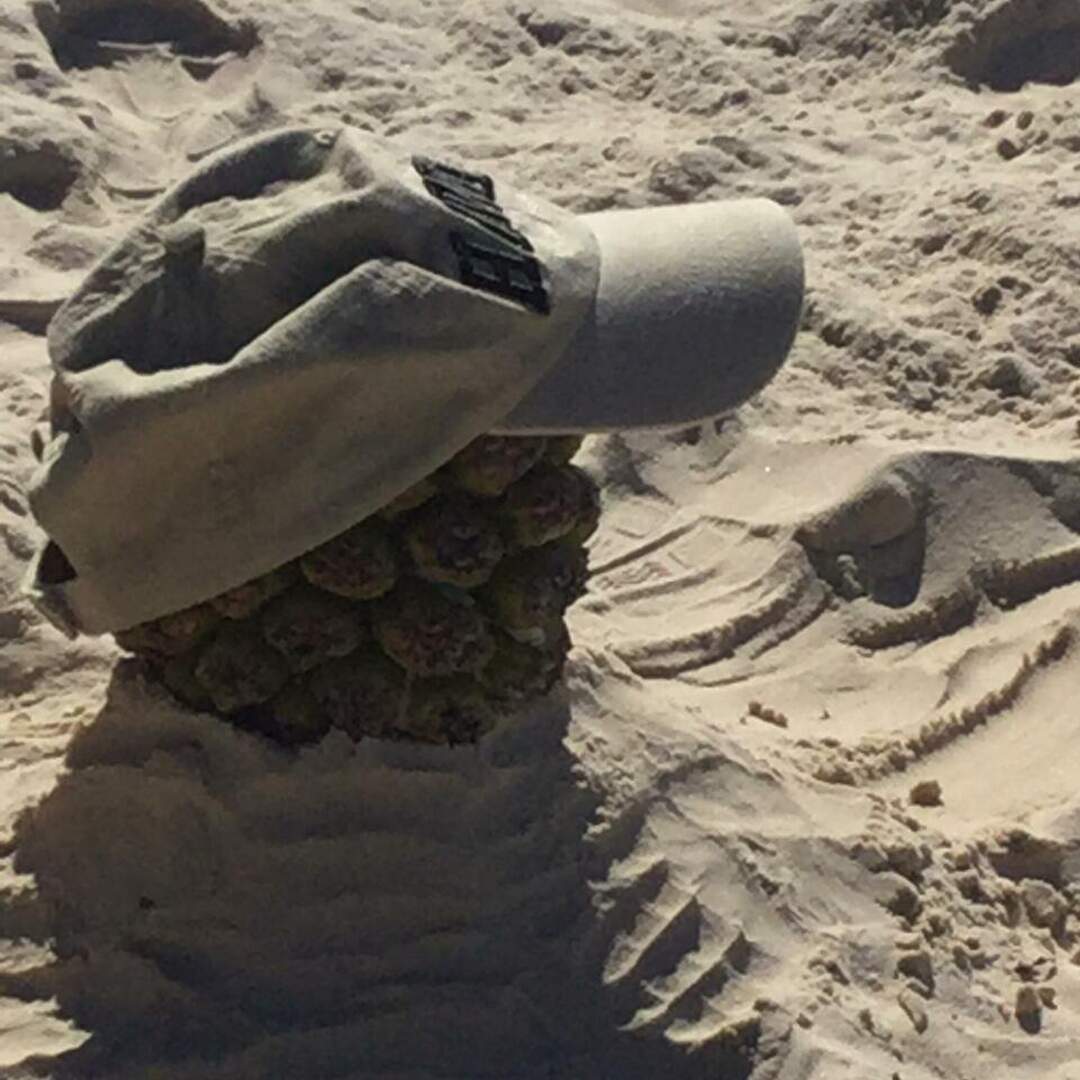 Bribie Island again