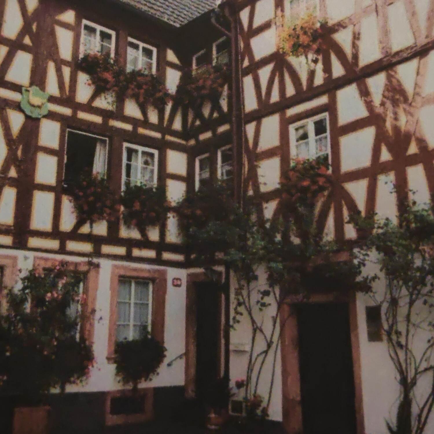 Fahrt ins Blaue 2024