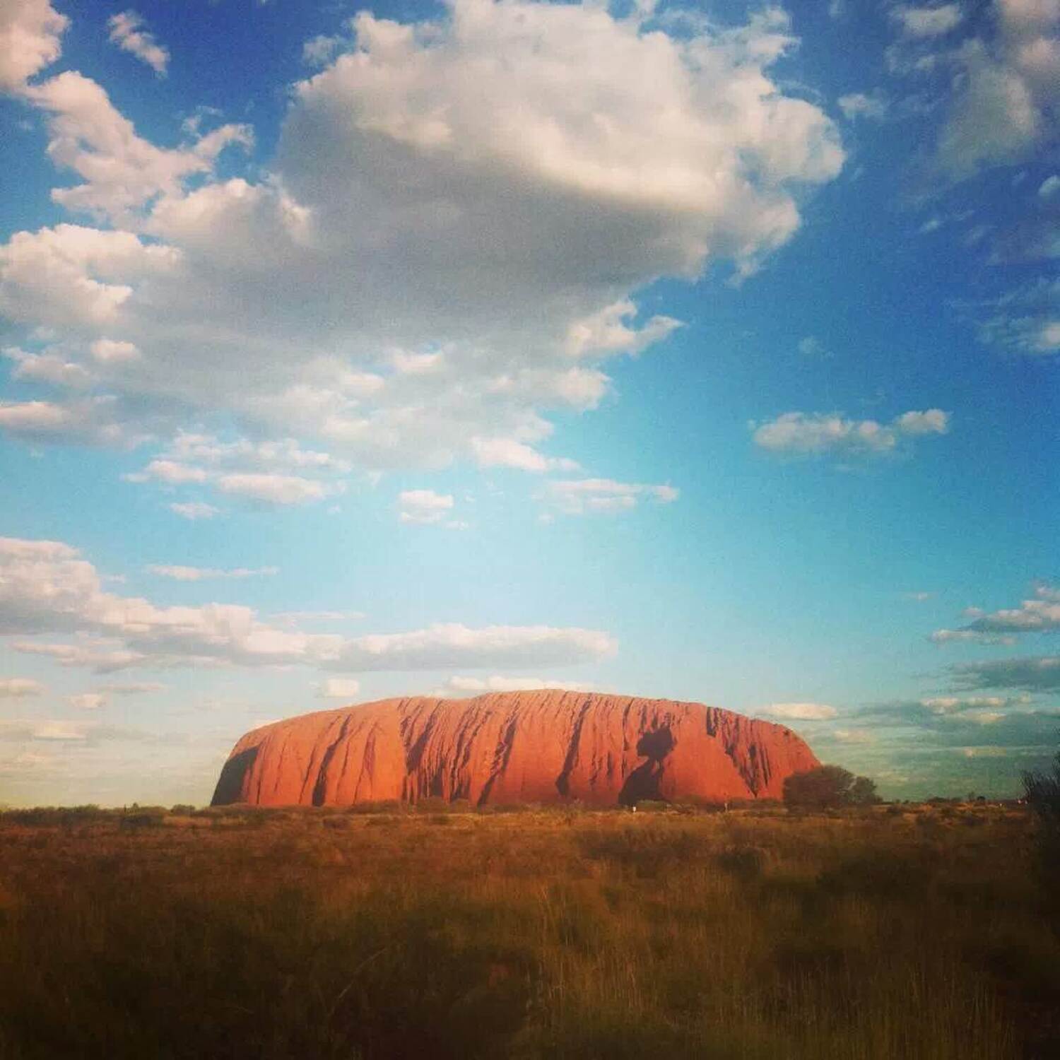 🇦🇺 - Australien Backpacking