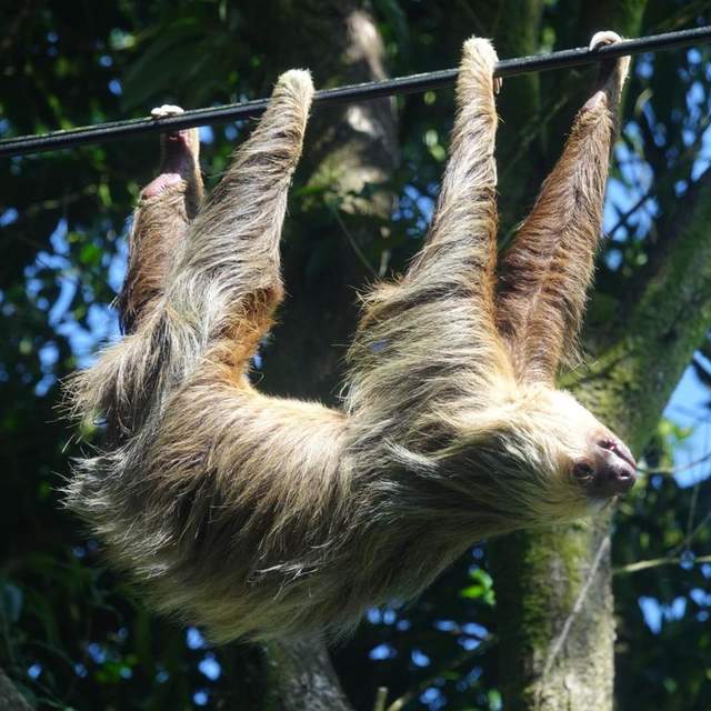 Costa Rica & Mayan Adventure