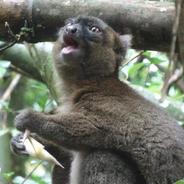 Madagascar
