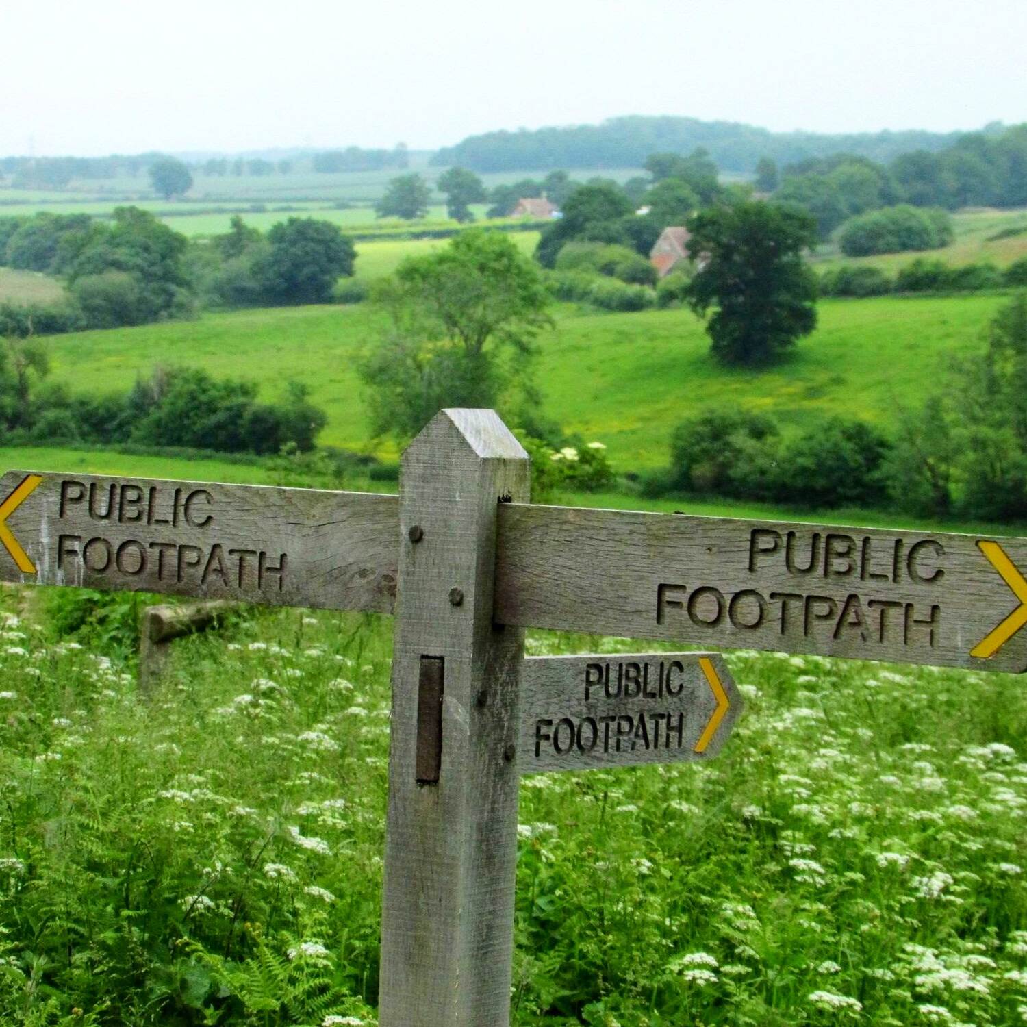 Yorkshire And Beyond