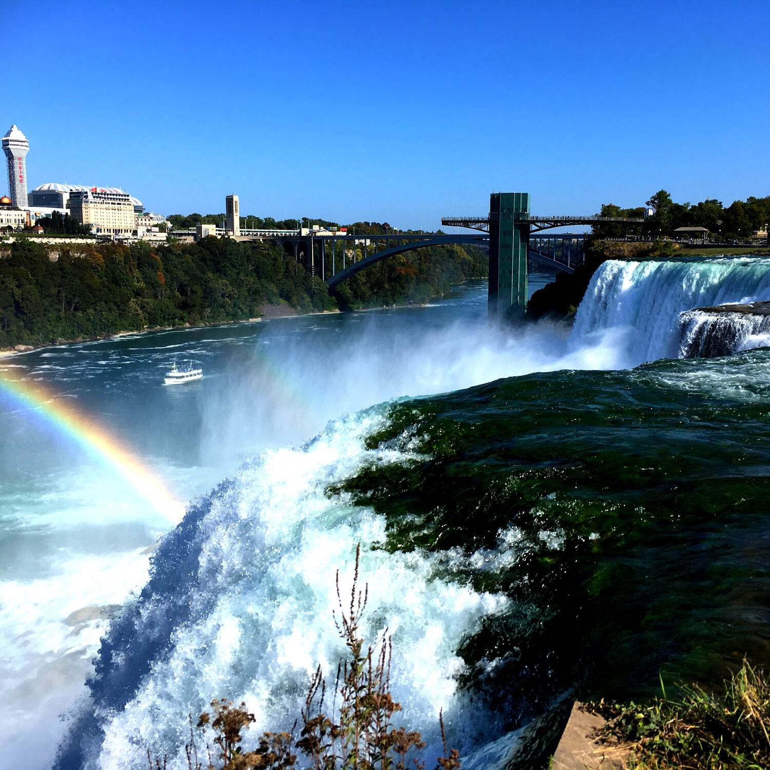 LifeCycles-Niagara Falls 2024