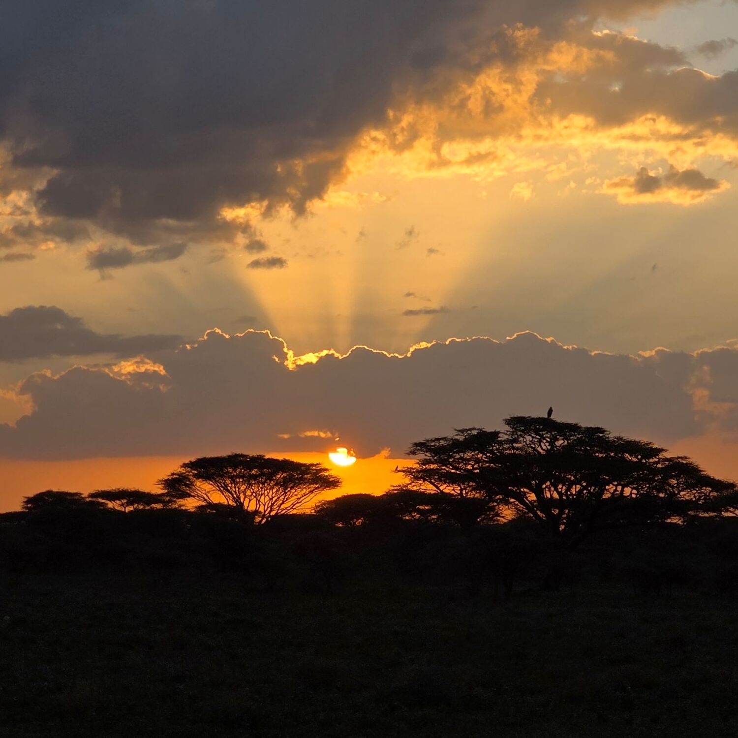 Tansania Jänner2026