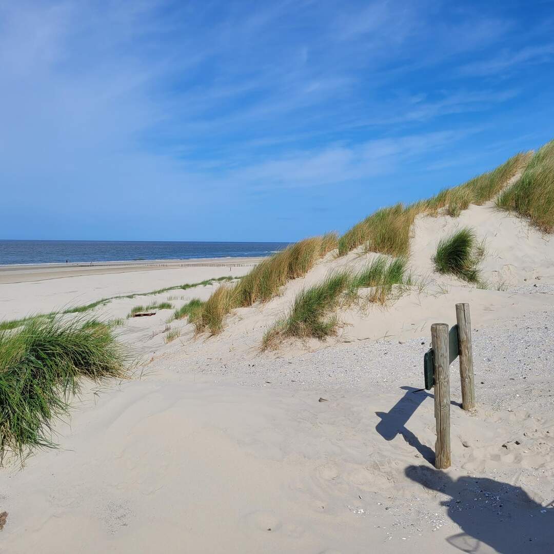 AMELAND