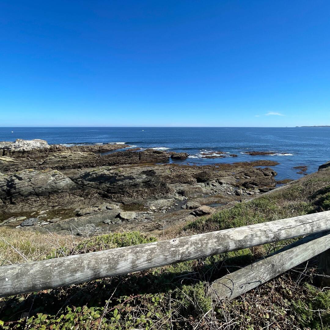 Camino del norte 2022