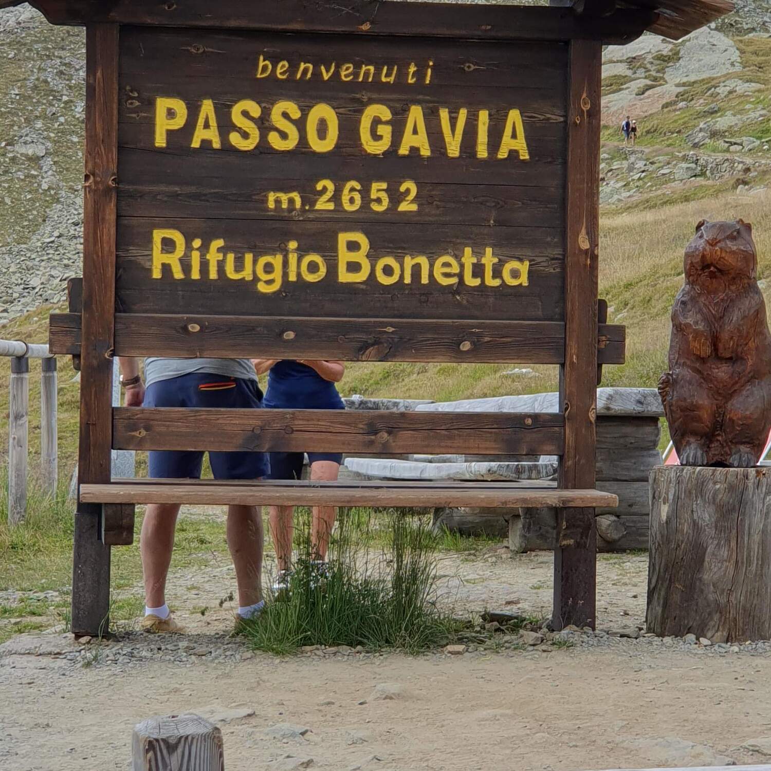 Passo di Gavia e Stelvio