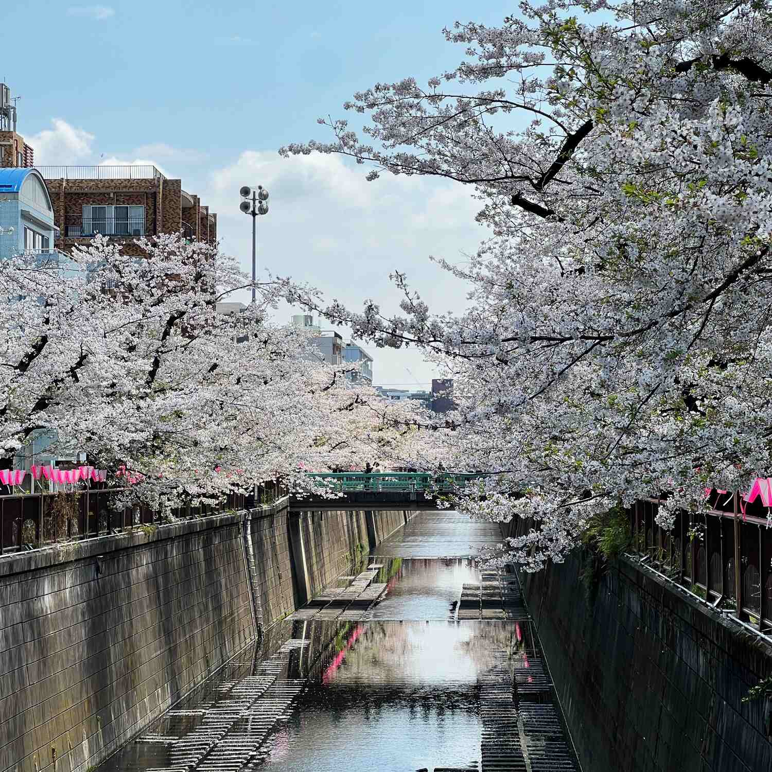 Japan 2025