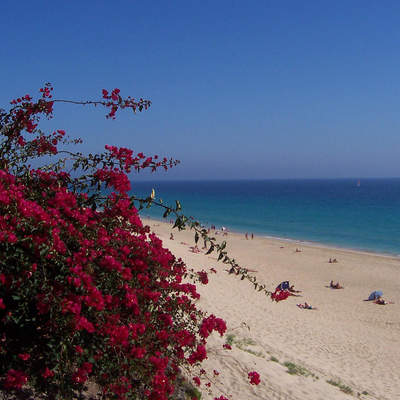 Fuerteventura