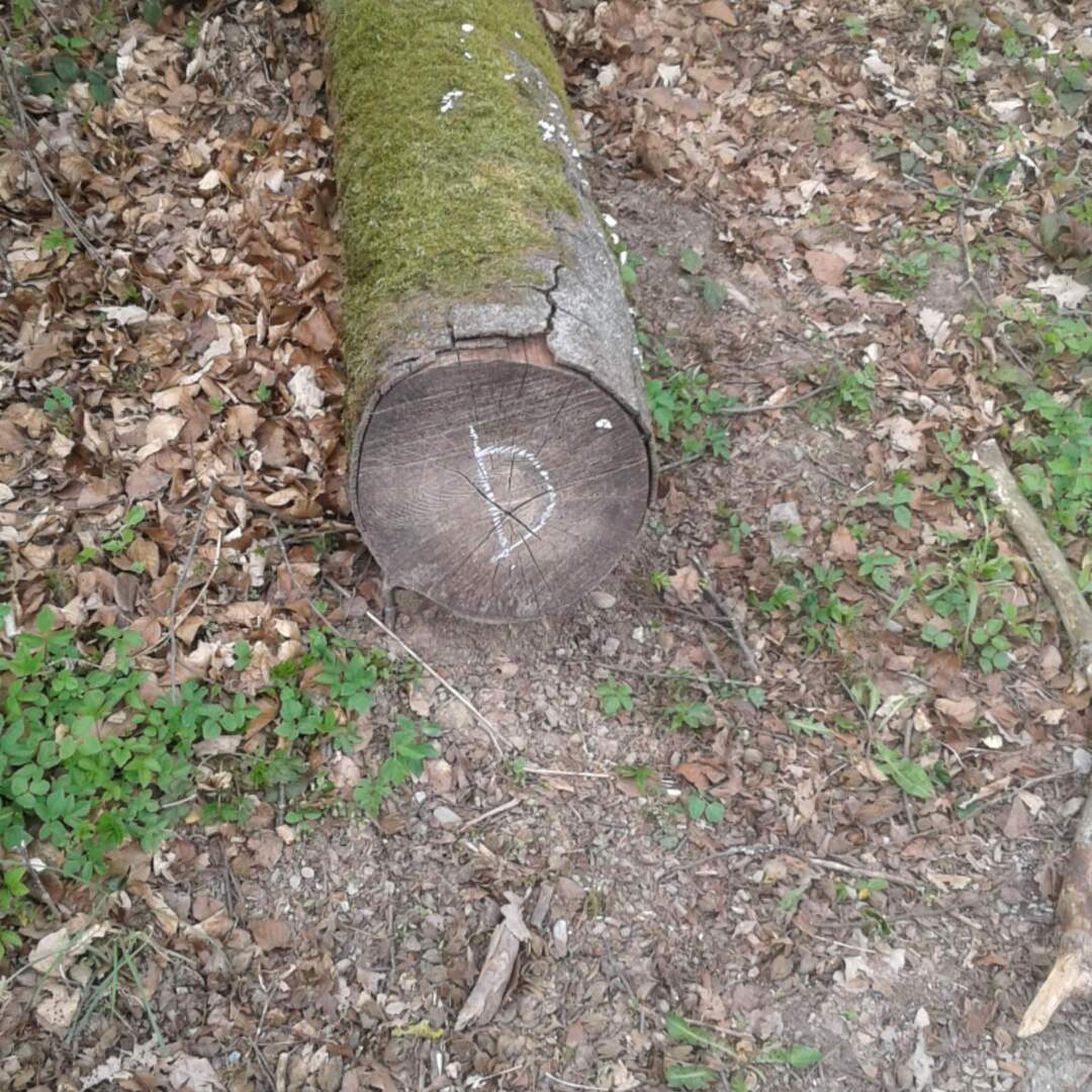 Schatzsuche