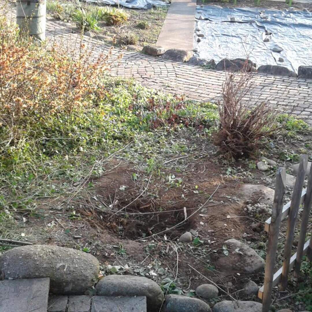 Gartenumbau...