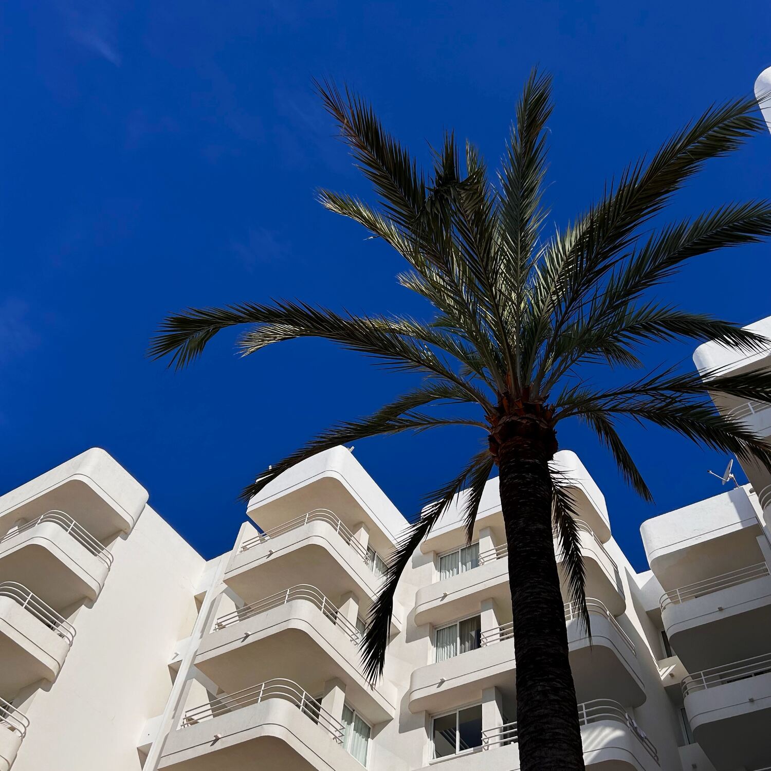 Flitterwochen 🇪🇸💍