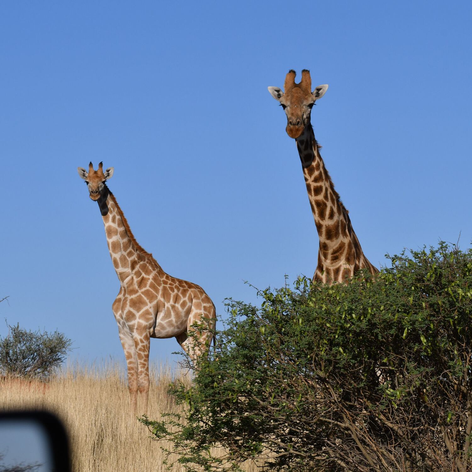 Namibia Roadtrip 2025