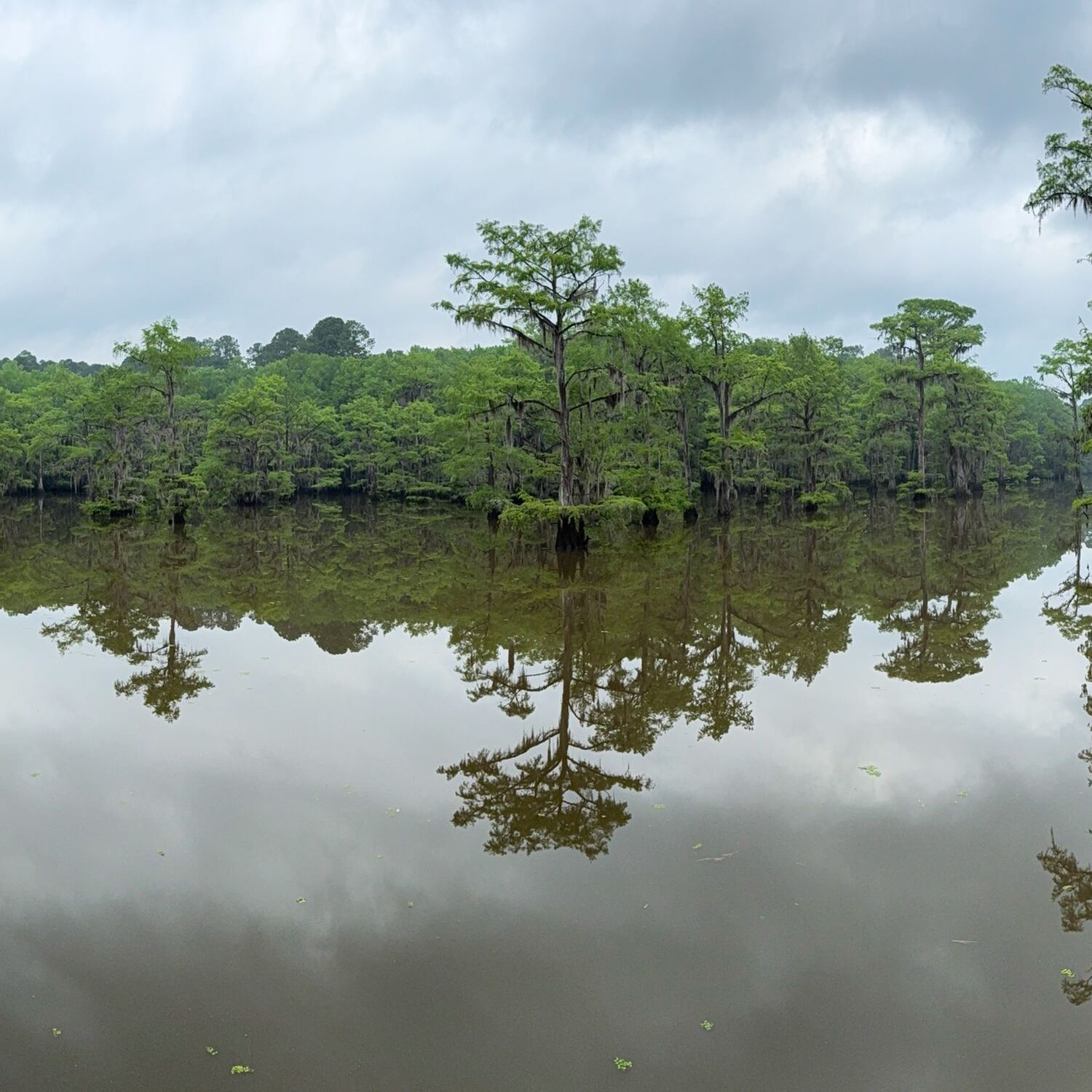 Caddo Lake