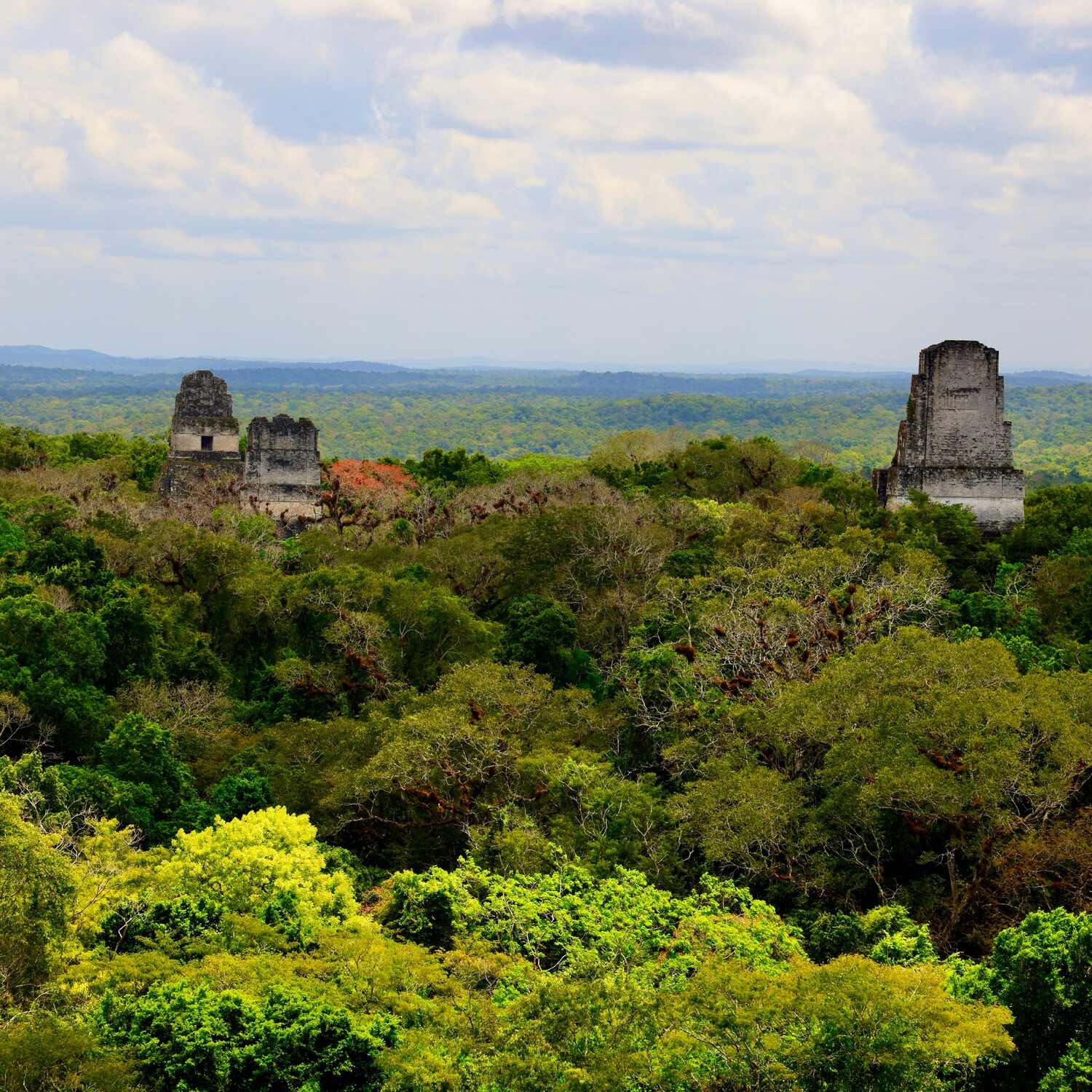 Guatemala & El Salvador
