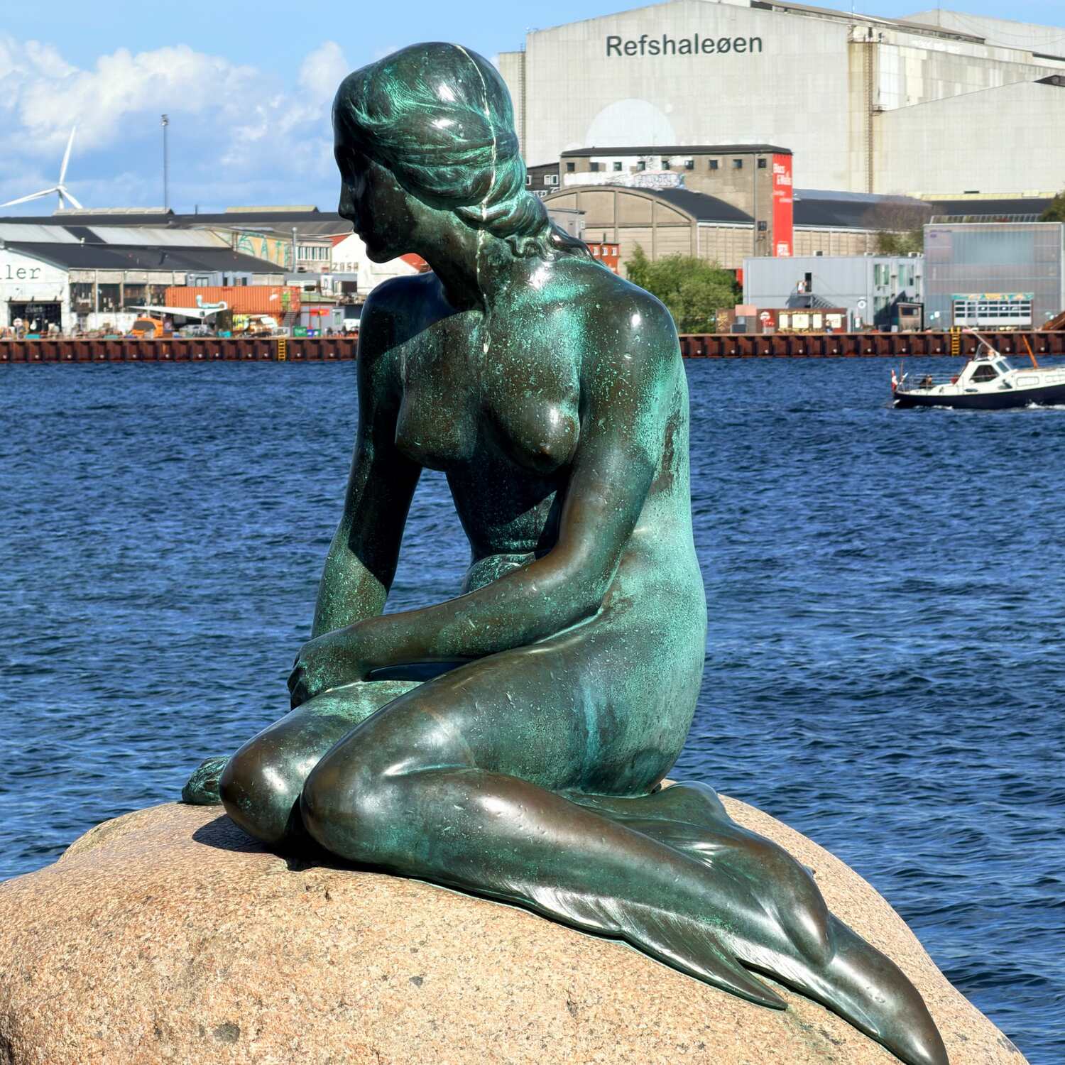 Mermaid Hunting