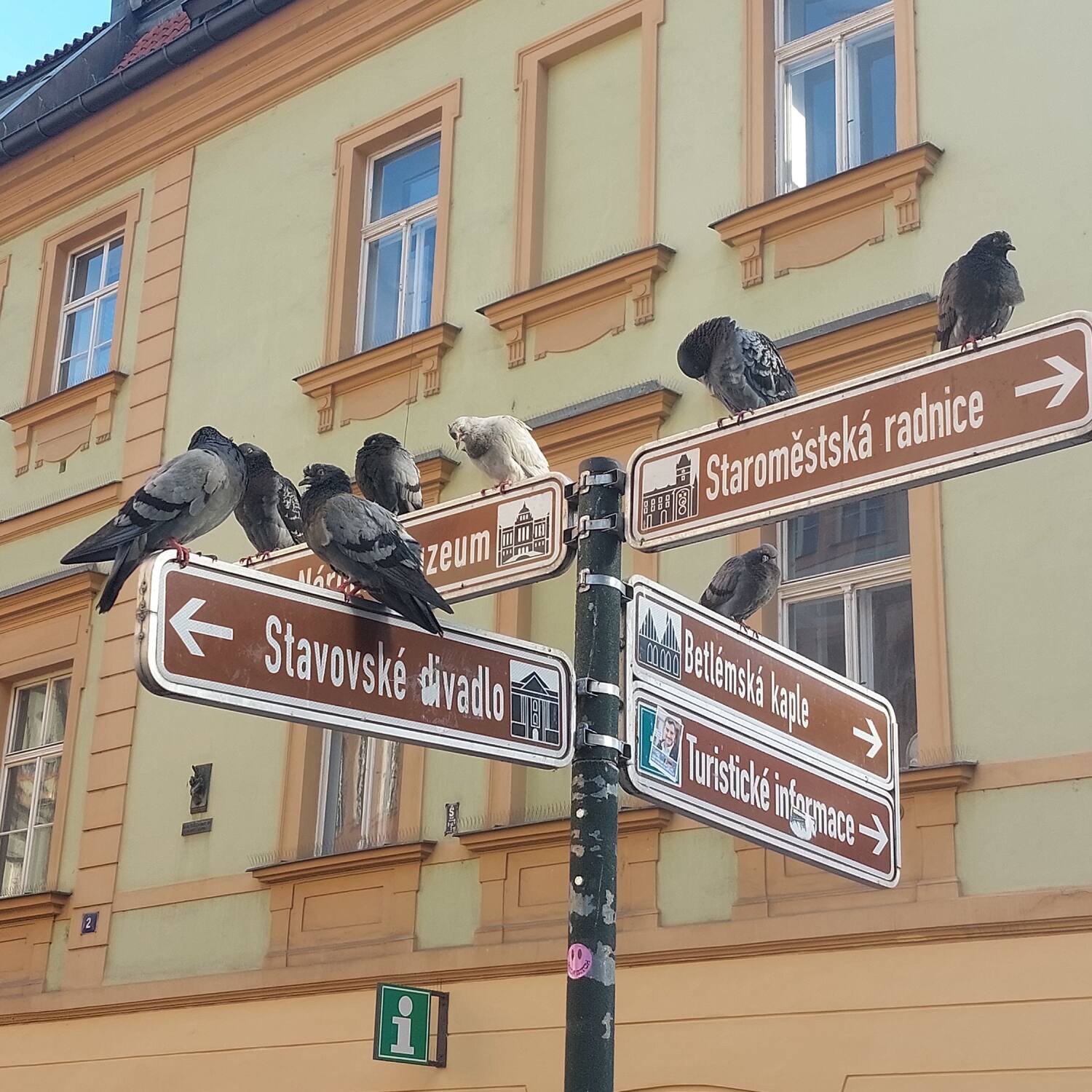 Sächsischer Wein