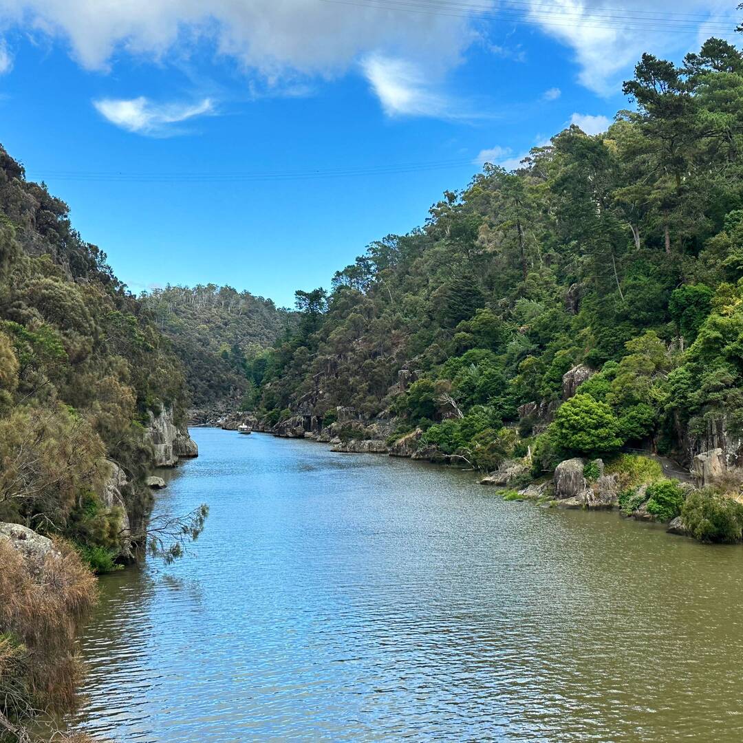 SYD - TAS - NZ 2023