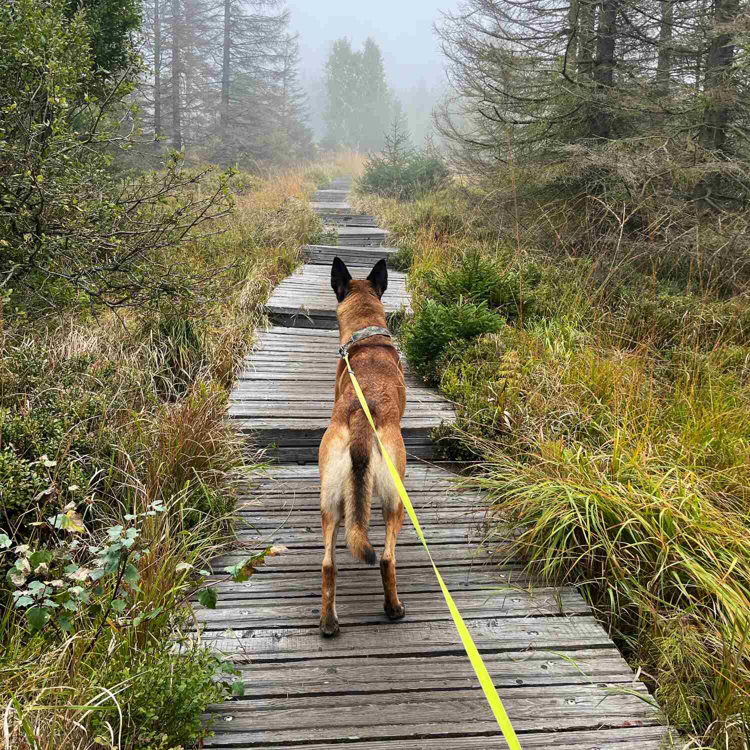 Herbst Camping im Harz🍂