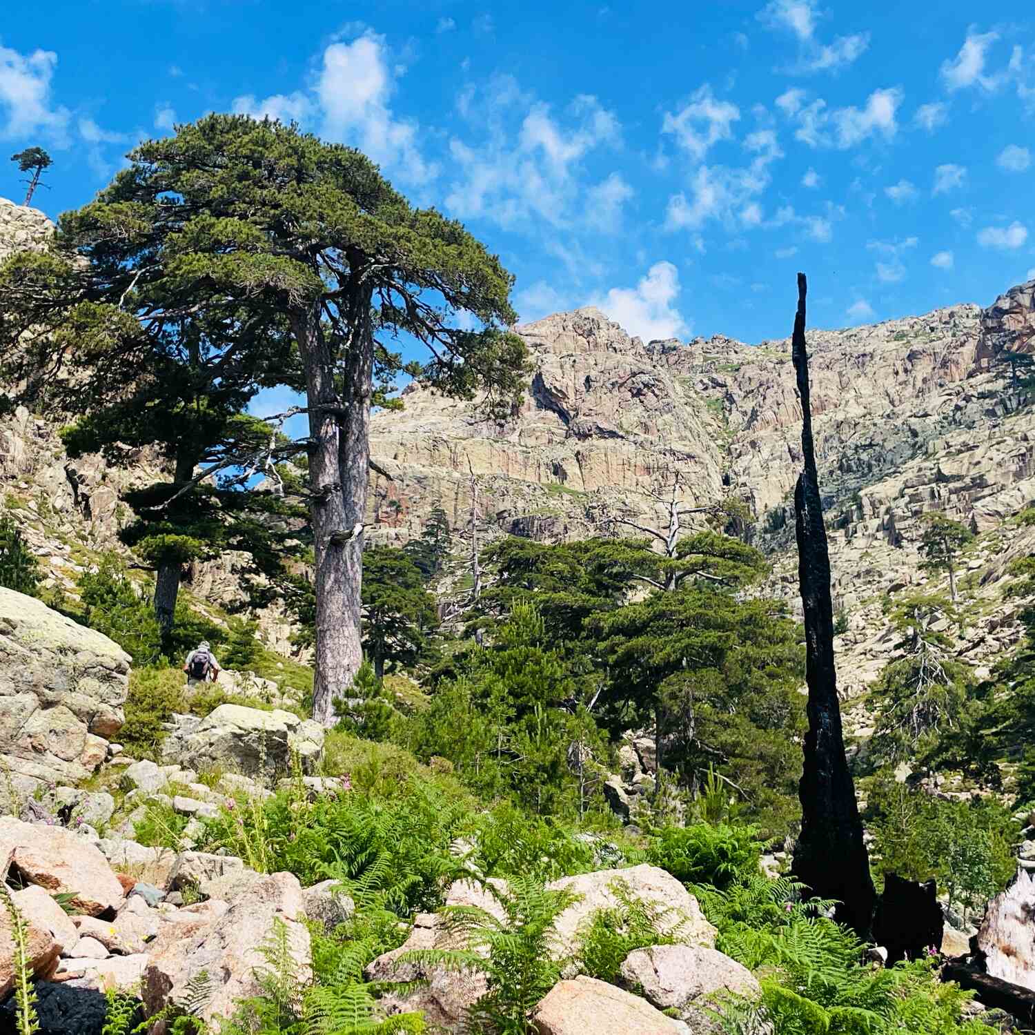 Corsica 2025