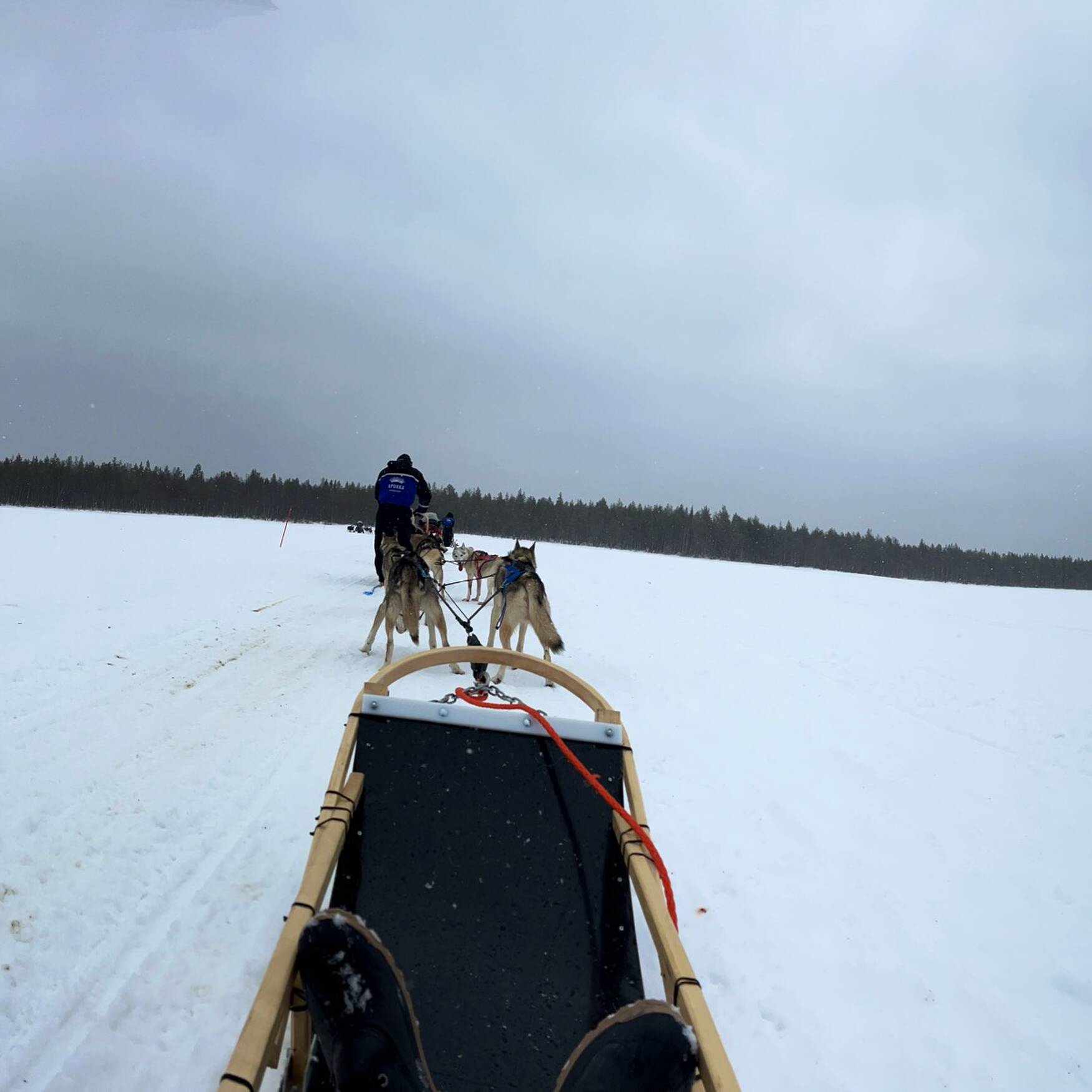 Auf zum Weihnachtsmann