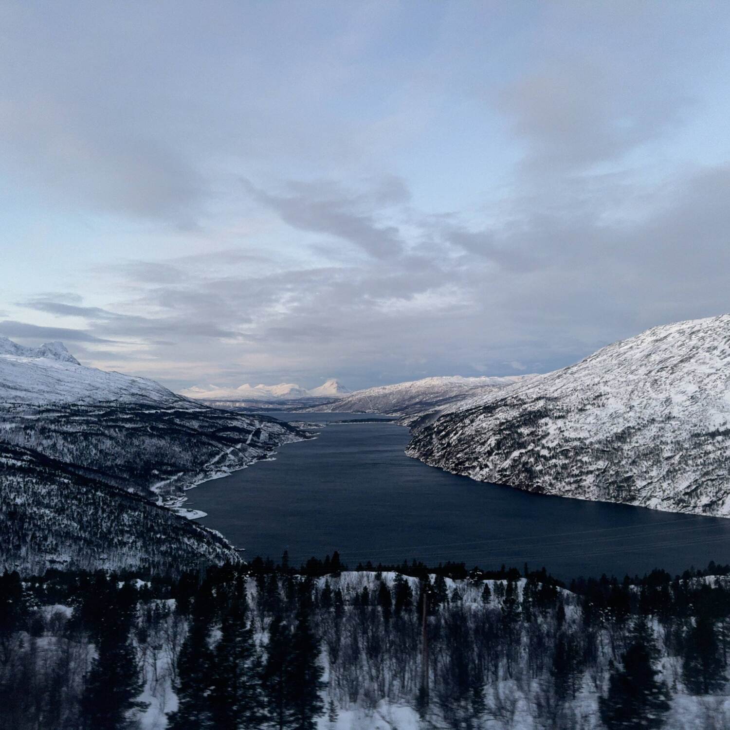 Narvik