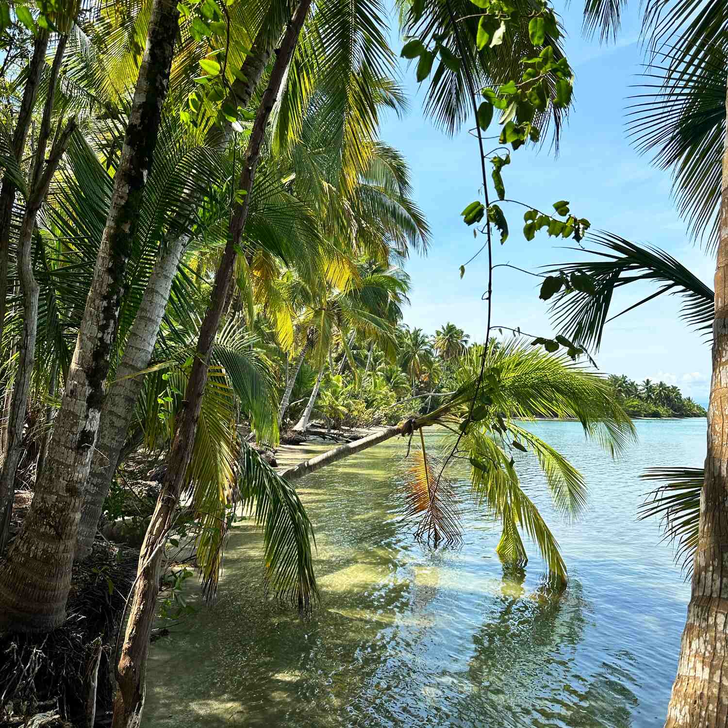 🇵🇦 Panama