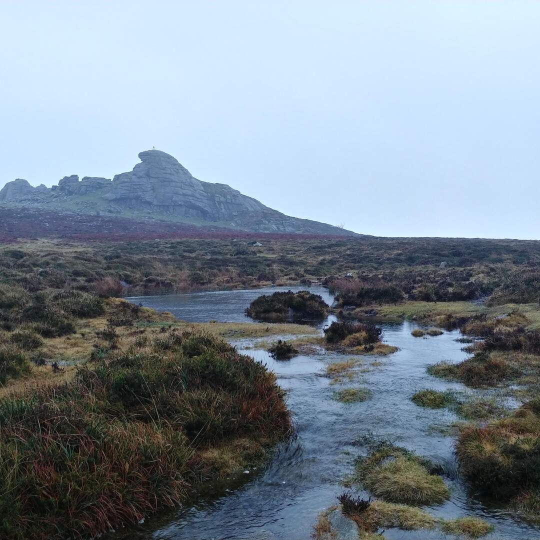 Dartmoor na koniec 2021