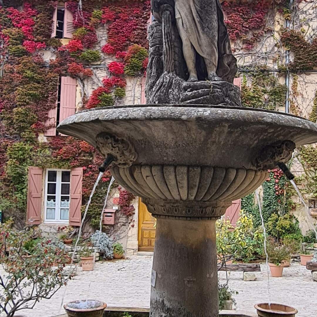 Wine Tour