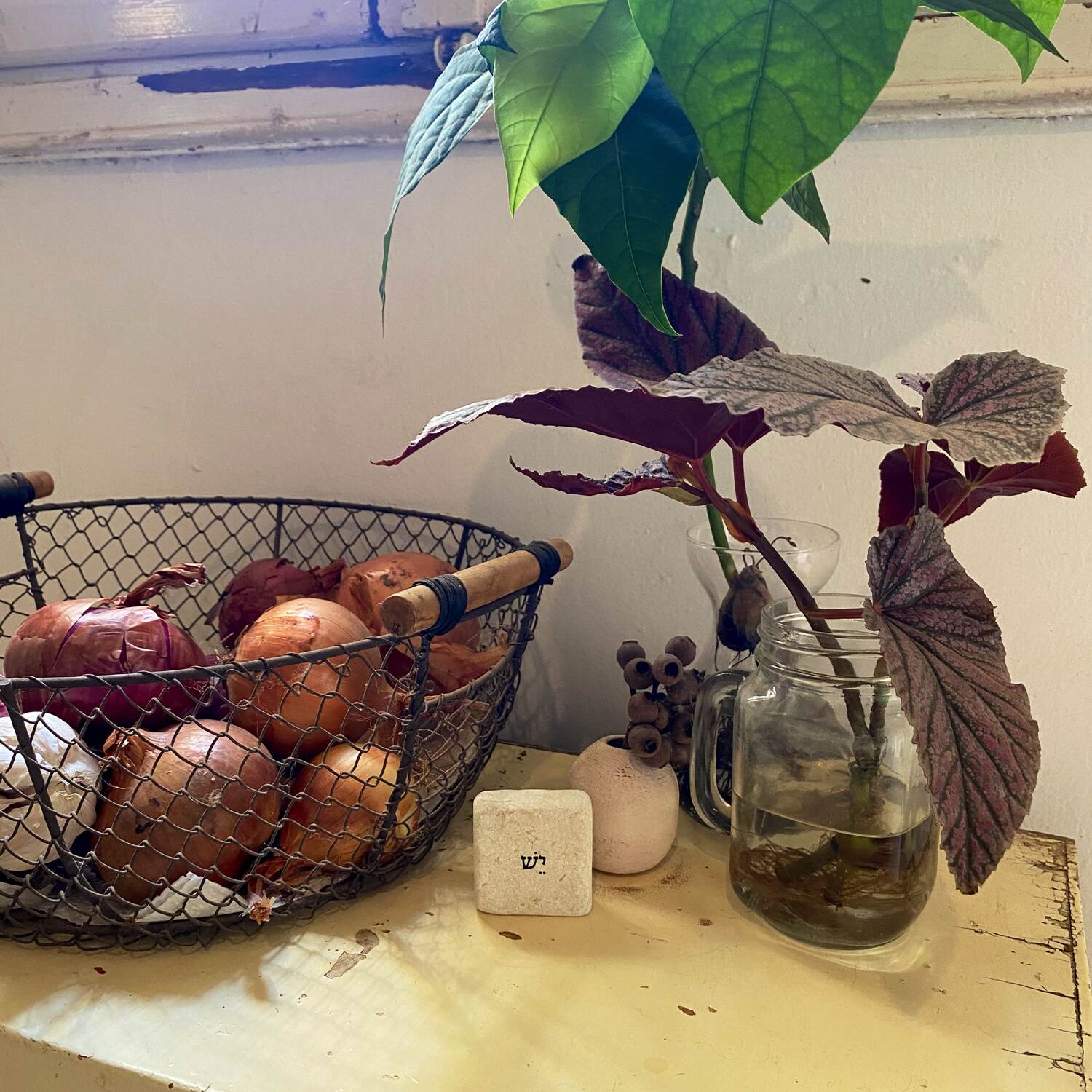 הודו ותאילנד