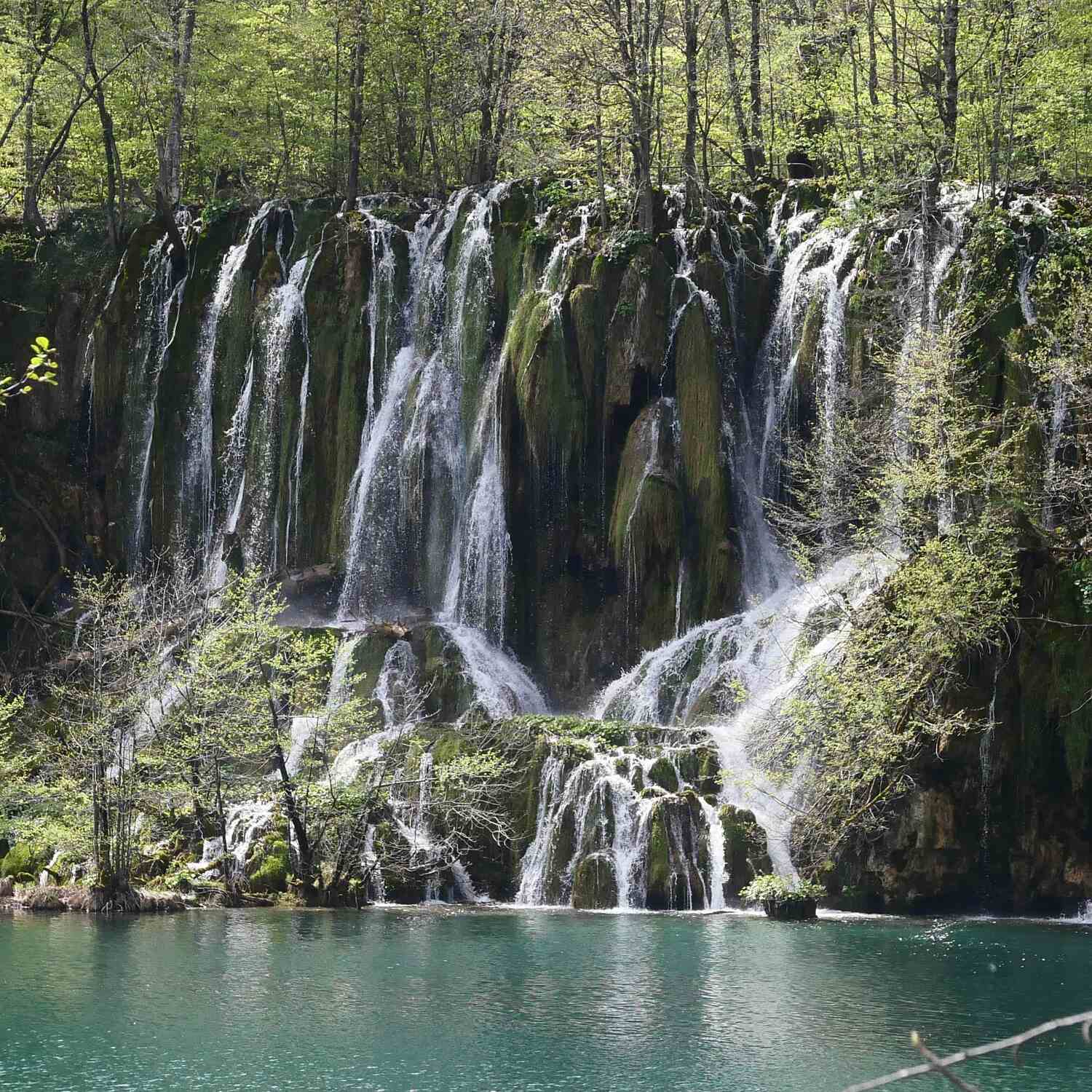 Frühling in Kroatien