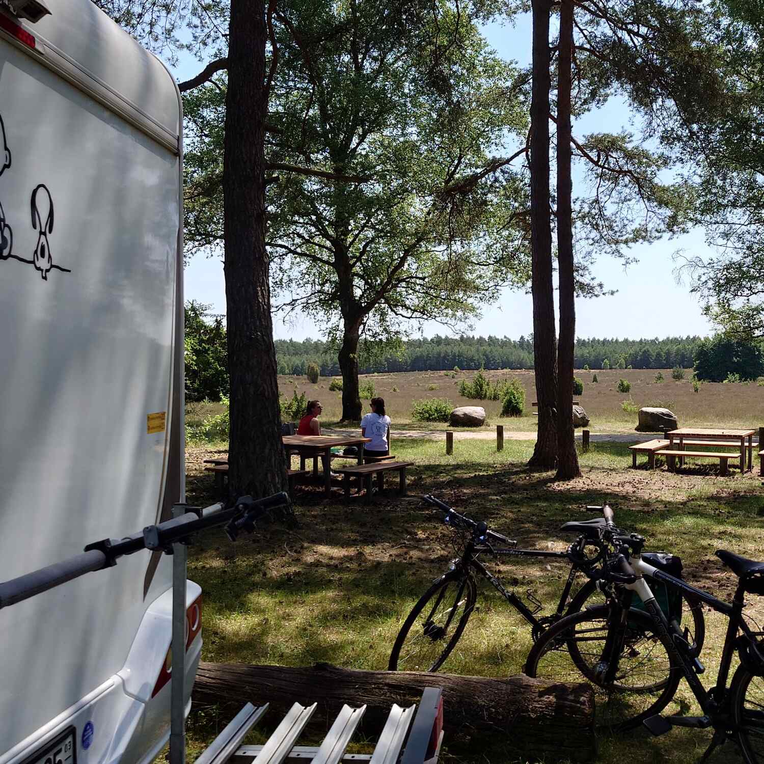 Sommersonnenwende Südheide