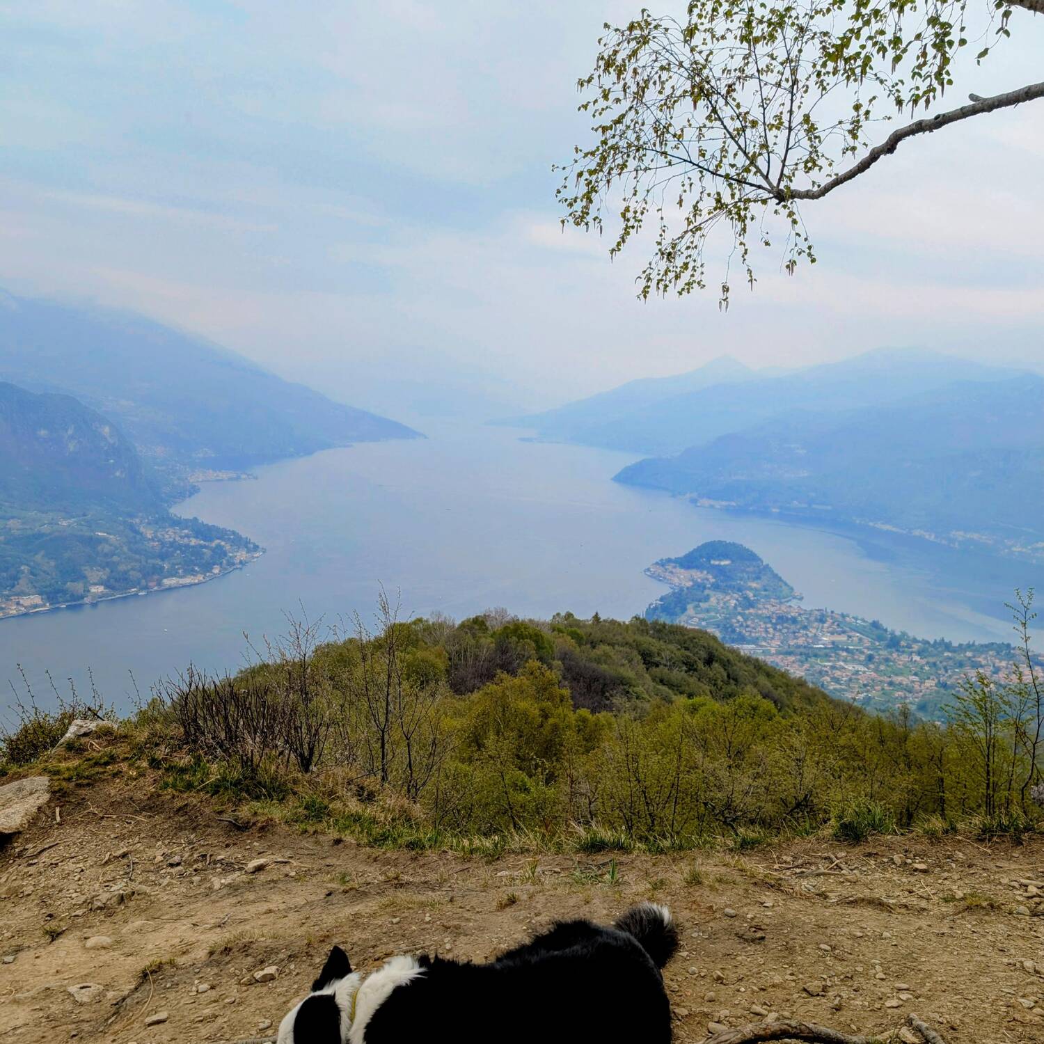 Triangolo lariano