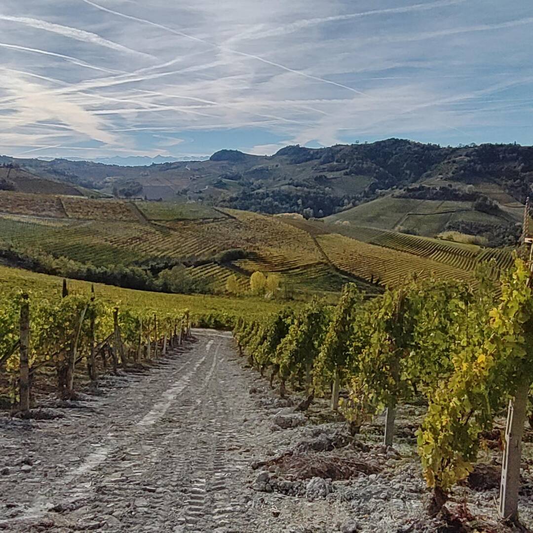 Langhe