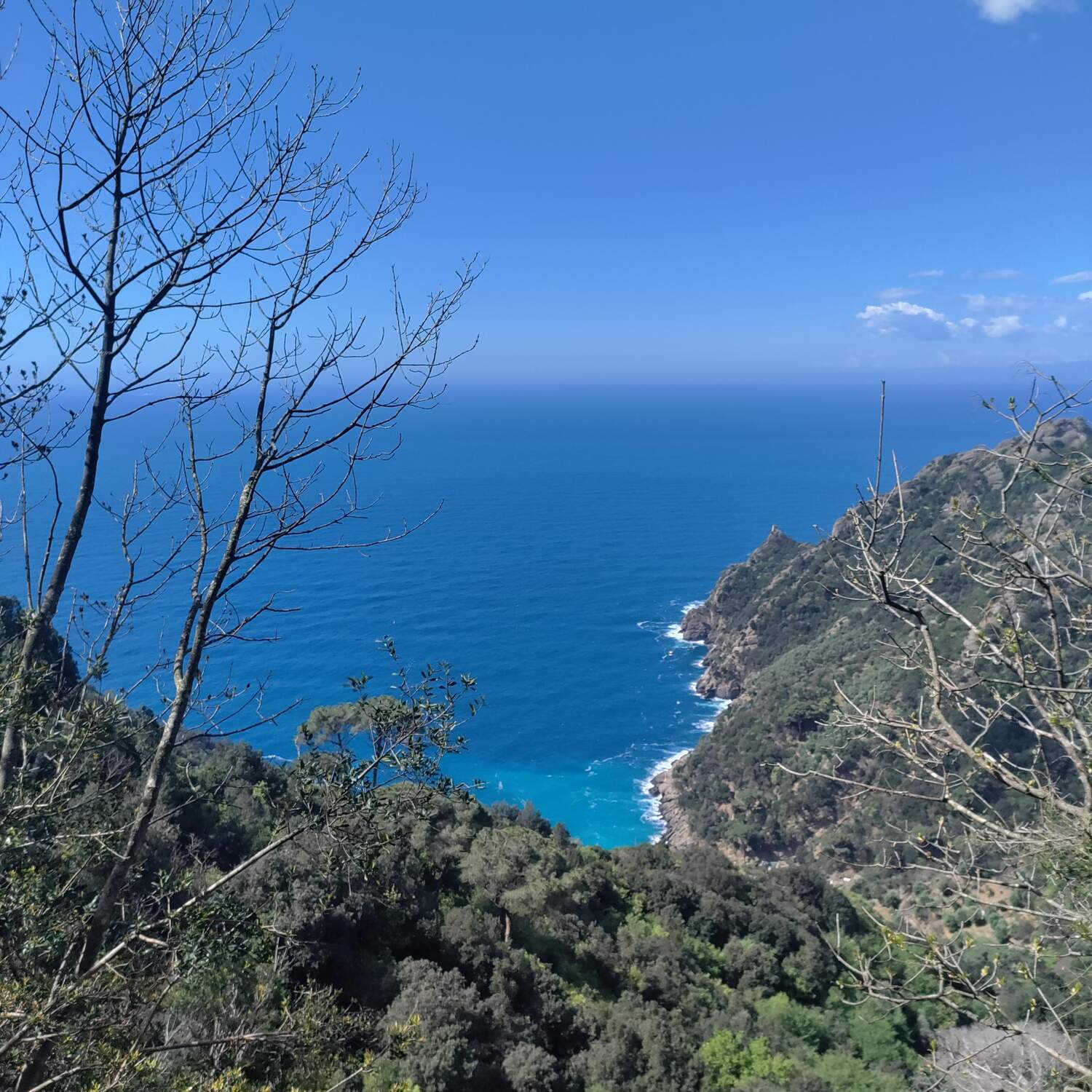 Portofino e Liguria in van