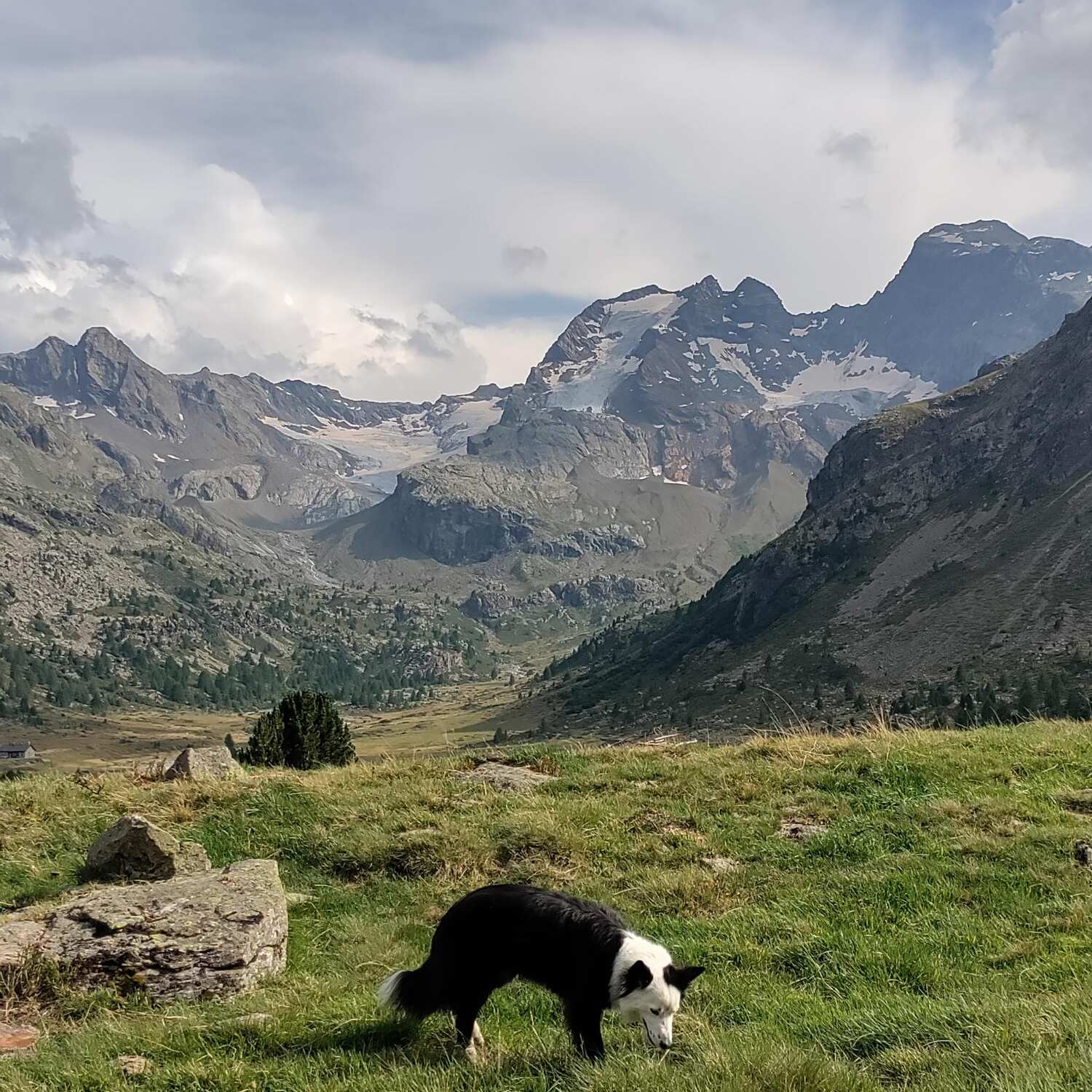 Livigno