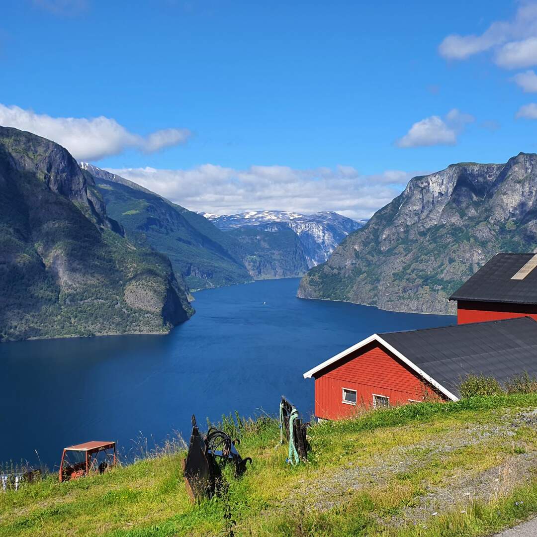 Norvegia on the road
