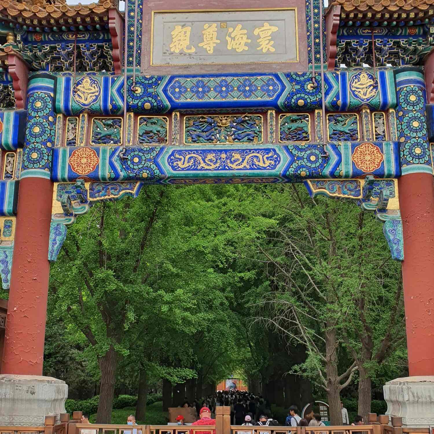 Cina 2024