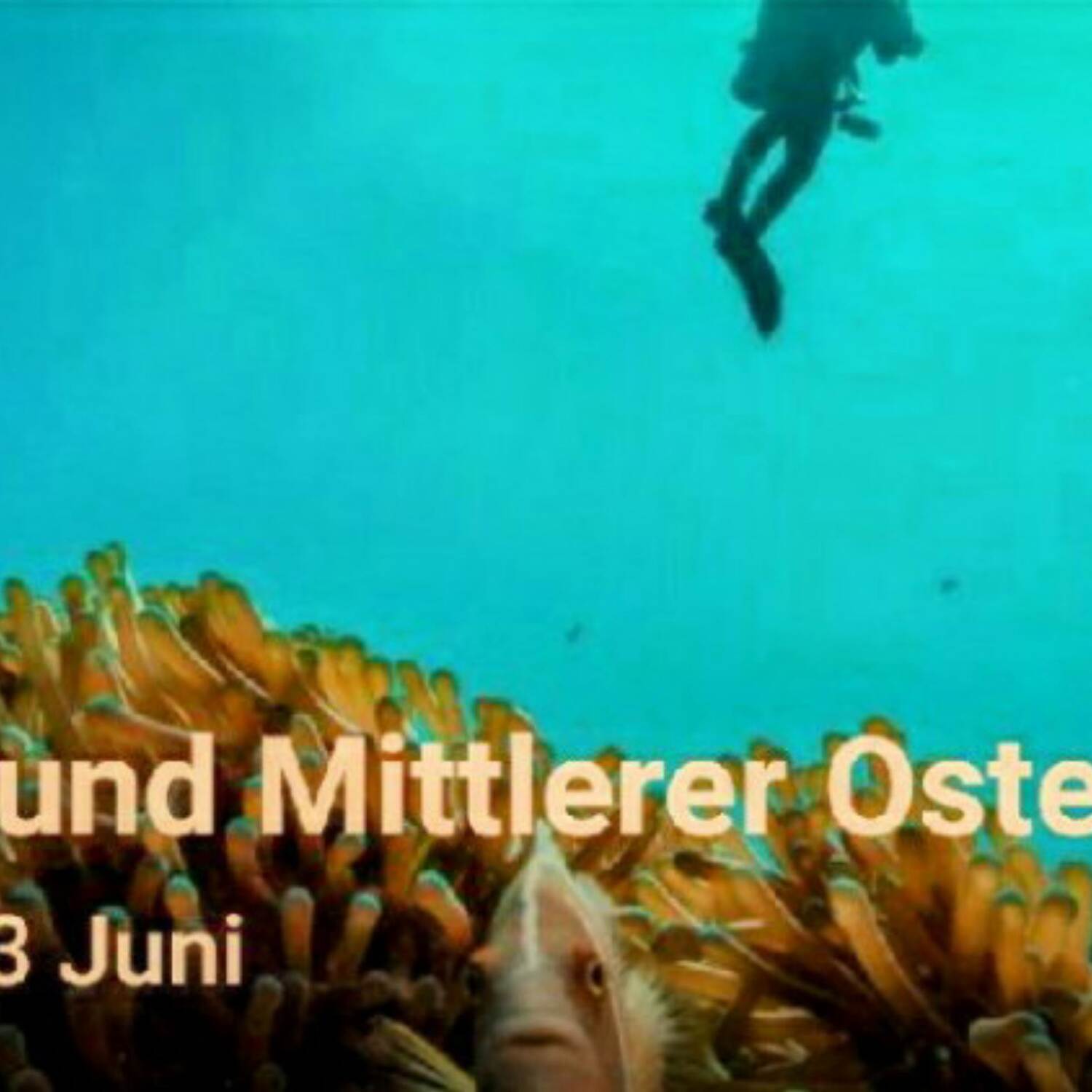Tour Asien & Mittlerer Osten
