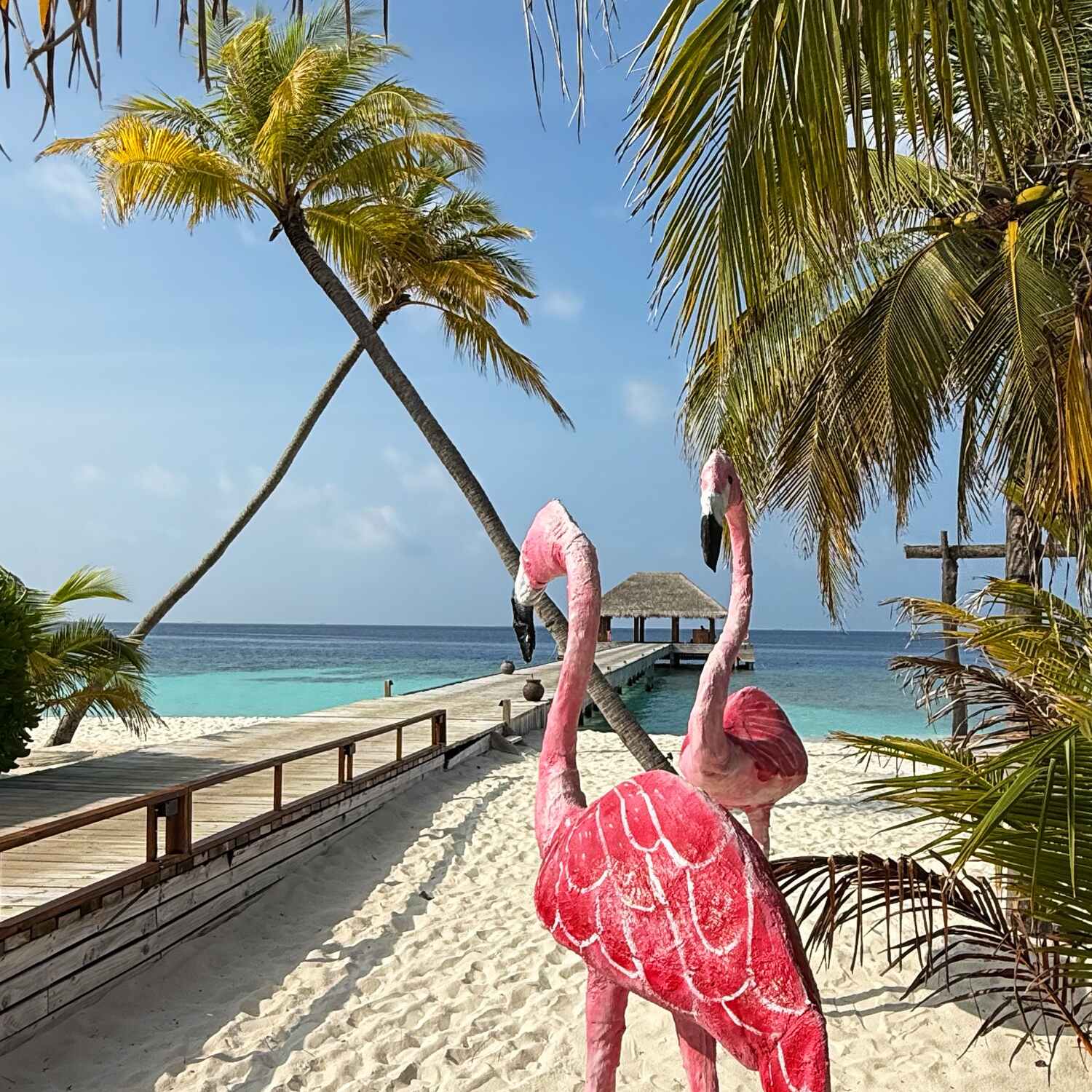 Malediven 🇲🇻 2025