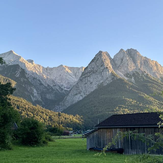 Dietmar S.