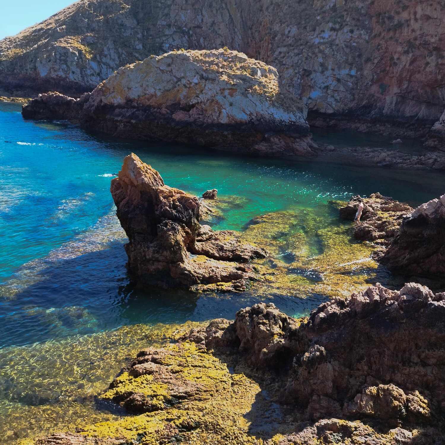 Islas Berlengas 🏝️