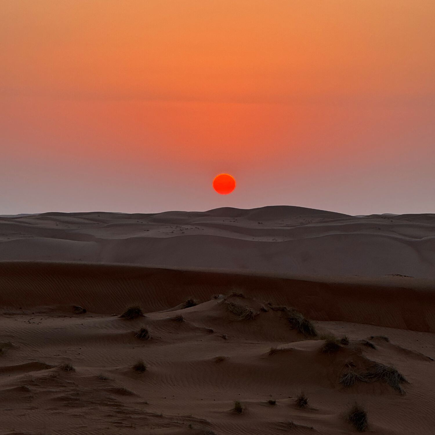 Oman 🇴🇲 🏜️🐪🐢